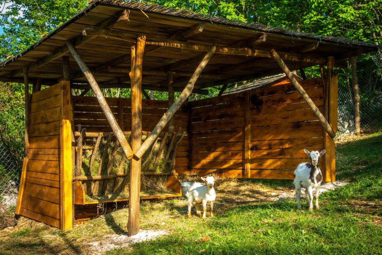 Robinson Accommodation Freedom Foli 외부 사진